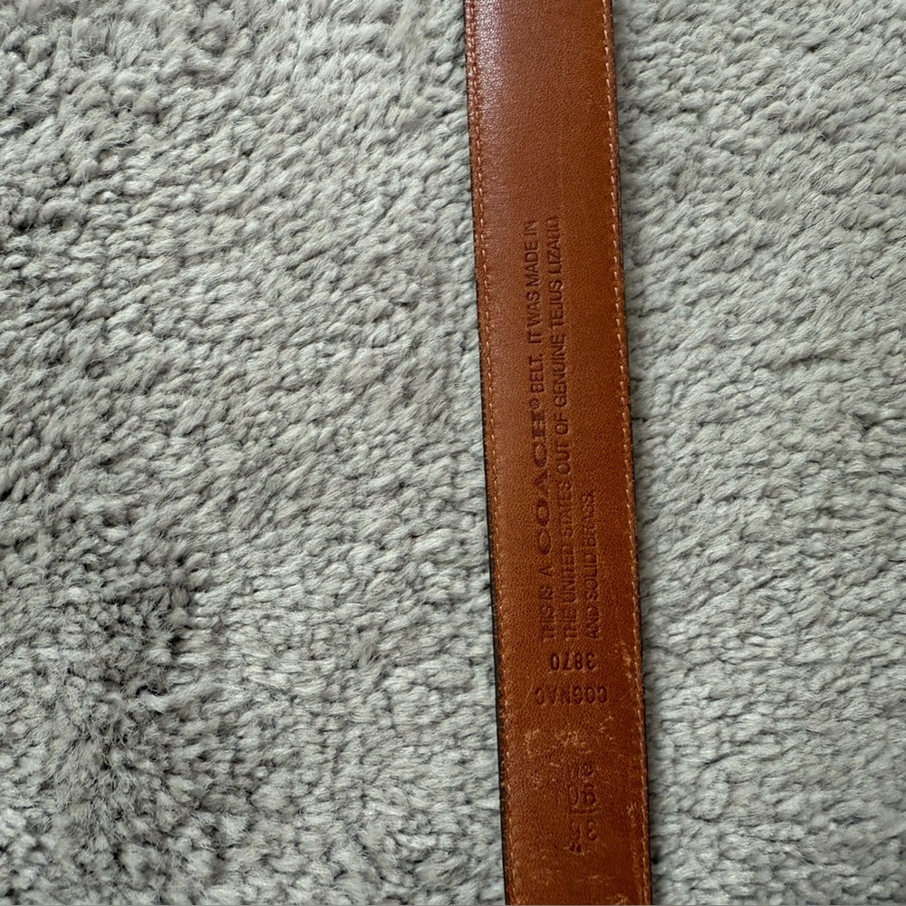 RARE Coach tejus lizard exotic leather belt 36 - Picture 2 of 7